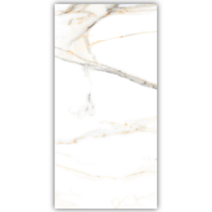 Πλακάκι CARRARA VENICE 60x120